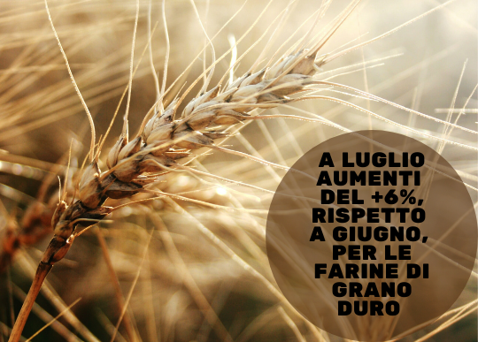 aumenti a luglio x farine grano duro.png